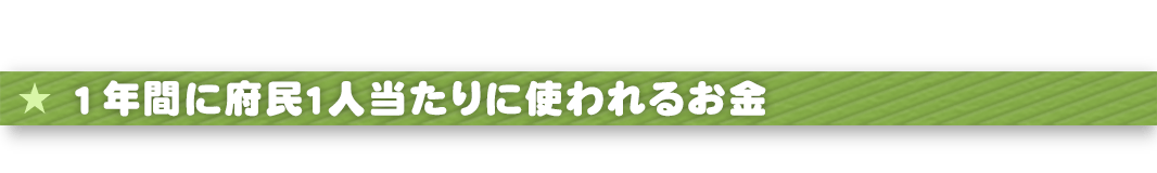 1年間に府民１人当りに使われるお金
